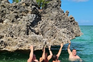 Golfinhos: Privado, Snorkel, CrystalRock, ileoBenitiers, almoço