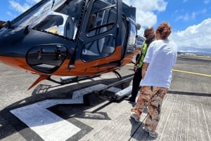 Mauritius: Privétour per helikopter naar onderwaterwaterval