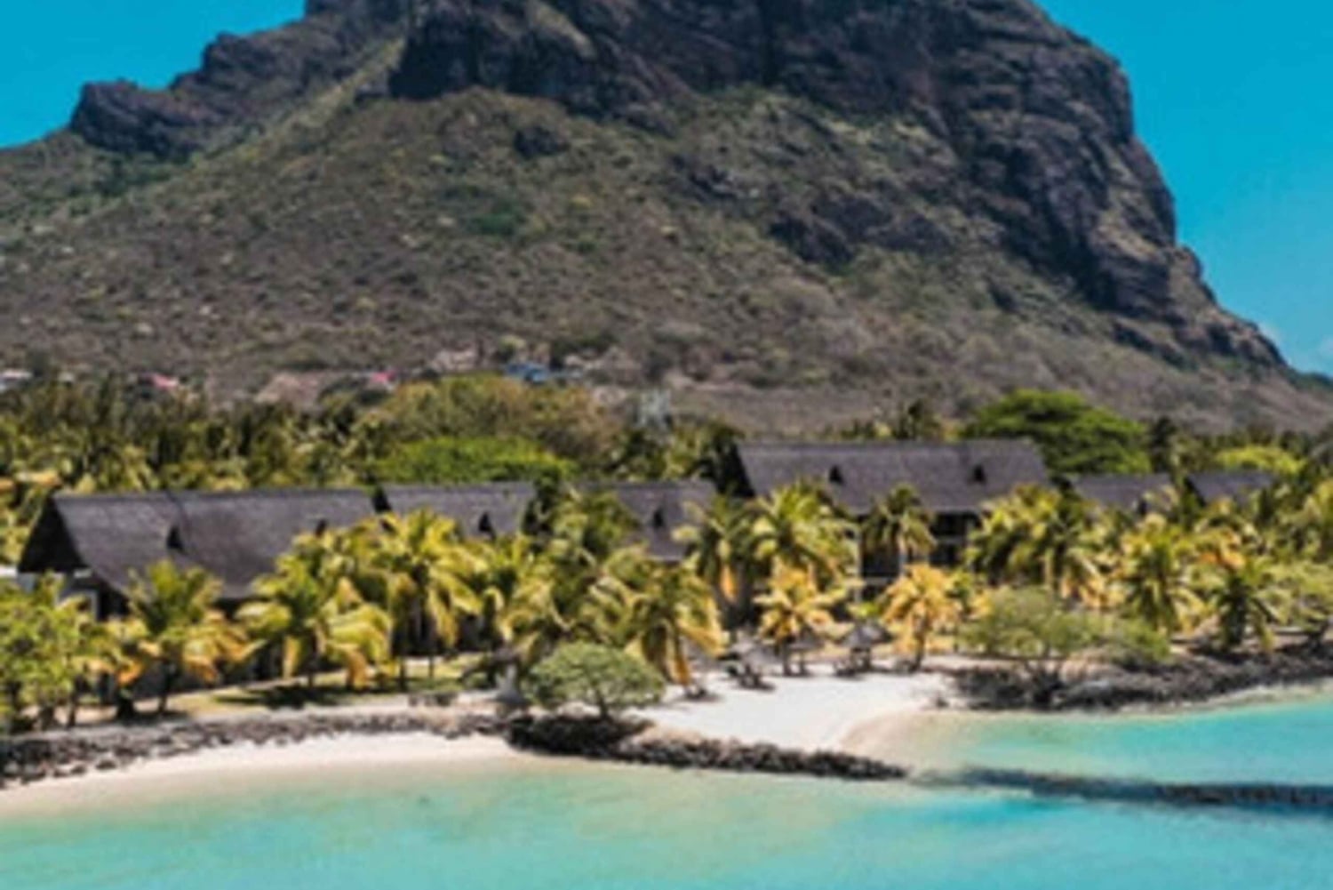 Mauritius: Private Whale Watching & Benitiers BBQ