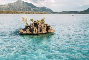 Mauritius: Private Whale Watching & Benitiers BBQ