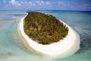 Mauritius: Private Whale Watching & Benitiers BBQ