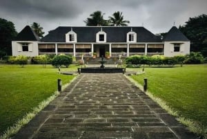 Mauritius: privat heldagstur i det ville sør