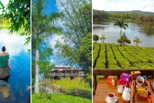 Mauritius: privat heldagstur i det ville sør