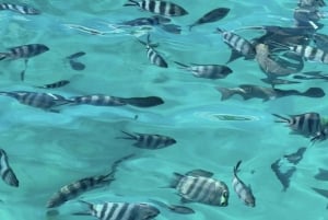 Mauritius: Quad, Pont Naturel, Museum & Blue Bay Tour