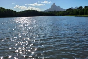 Mauritius: Wycieczka kajakowa z przewodnikiem po rzece z małpami