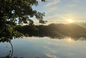 Mauritius: Wycieczka kajakowa z przewodnikiem po rzece z małpami