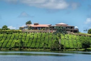 モーリシャス：聖なる湖、滝、お茶の歴史を巡る日帰りツアー