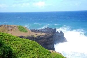 モーリシャス：聖なる湖、滝、お茶の歴史を巡る日帰りツアー