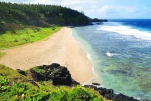 モーリシャス：聖なる湖、滝、お茶の歴史を巡る日帰りツアー