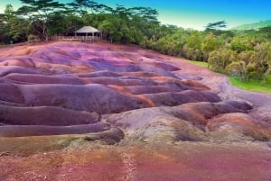 Mauritius naturskjønne sørvestlige privatbil/SUV/minivan-tur