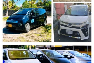 Mauritius naturskjønne sørvestlige privatbil/SUV/minivan-tur