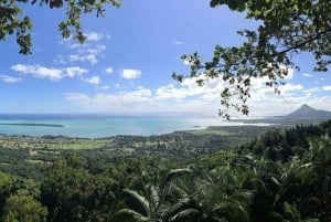 Mauritius naturskjønne sørvestlige privatbil/SUV/minivan-tur