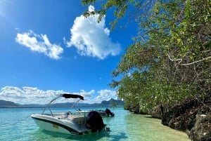 Mauritius: Seas the Day Lagoon Discovery Boat