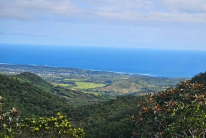 Mauritius: Sights of the South Private Tour with Rum Tasting