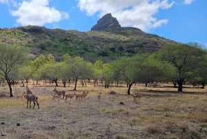 Mauritius: Sights of the South Private Tour with Rum Tasting