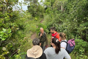 Maurice : Le Morne : Randonnée intime loin de la foule