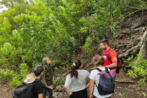 Maurice : Le Morne : Randonnée intime loin de la foule