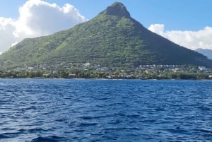 Mauritius: Fai snorkeling e nuota con i delfini con un tour in motoscafo