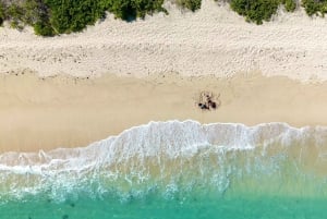Mauritius: Eteläinen rannikko opastettu kierros luolien ja vesiputousten kanssa.
