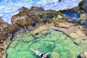 Mauritius: Eteläinen rannikko opastettu kierros luolien ja vesiputousten kanssa.