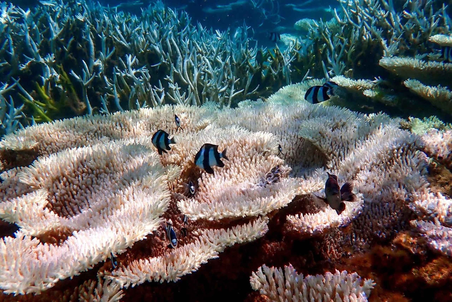 Mauritius: South Coast Hidden Gems Tour with Boat Ride