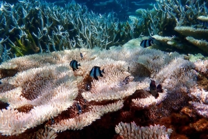 Mauritius: South Coast Hidden Gems Tour with Boat Ride