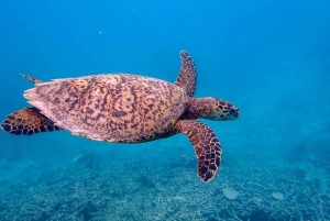 Mauritius: South Coast Hidden Gems Tour with Boat Ride