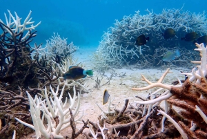 Mauritius: South Coast Hidden Gems Tour with Boat Ride