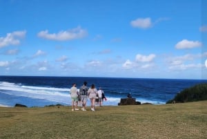 Mauritius: tour della costa sud con fabbrica di tè e Gris Gris