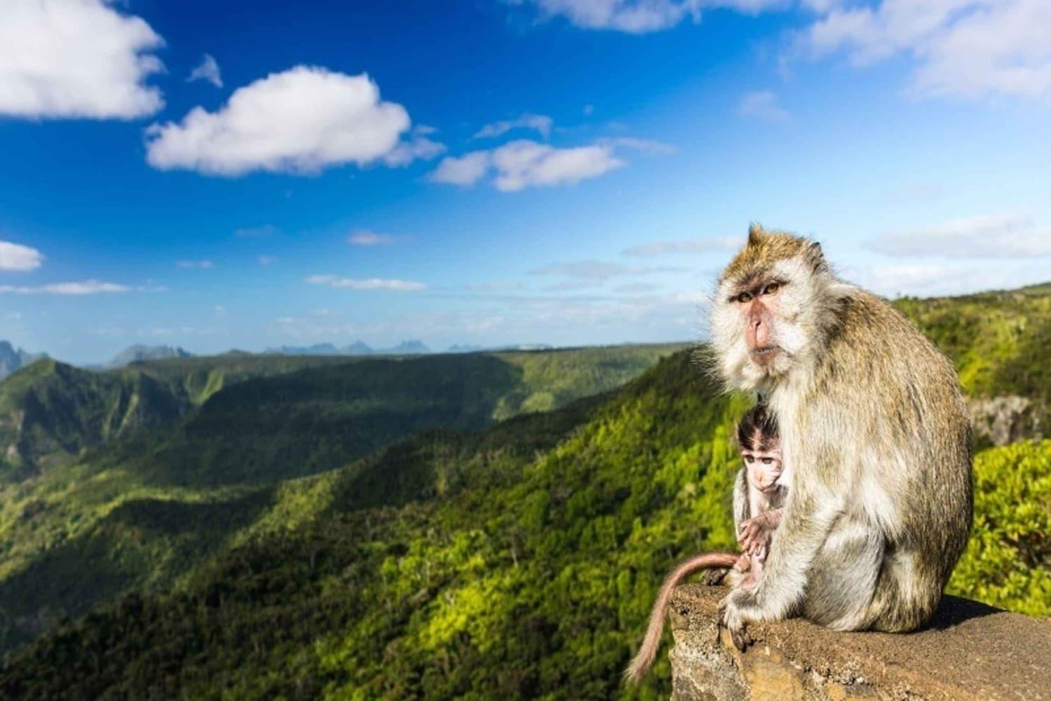 Mauritius South Highlights Tour: Vallée & Chamarel Dunes