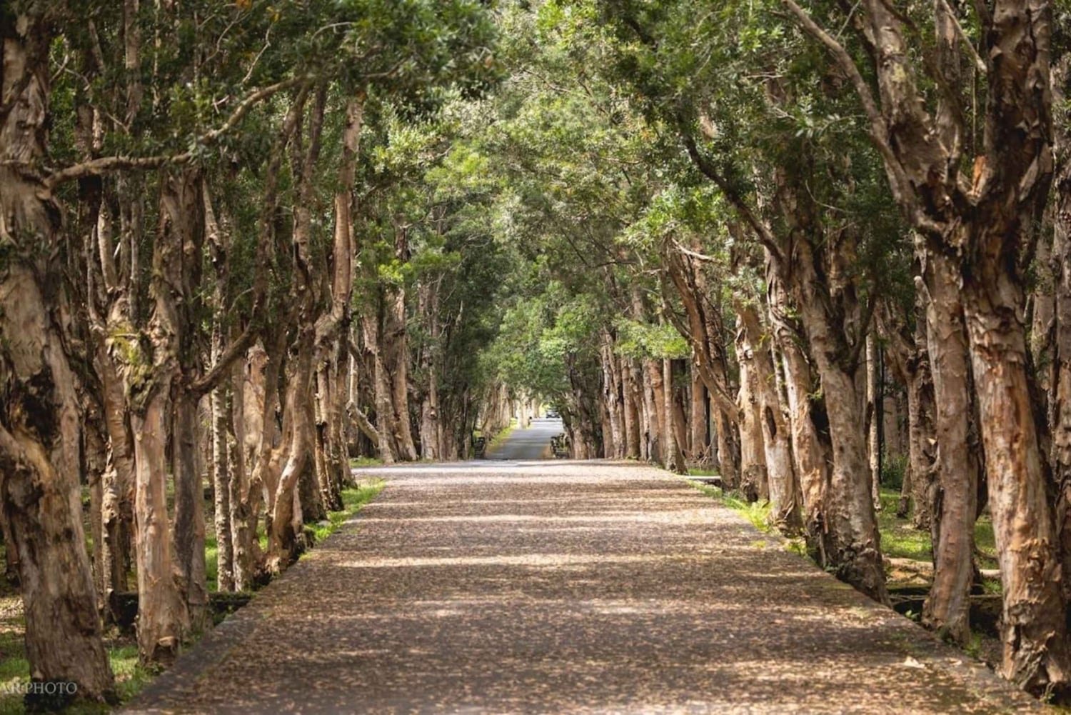 Mauritius South Highlights Tour: Vallée & Chamarel Dunes