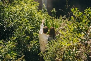 Mauritius South Highlights Tour: Vallée & Chamarel Dunes