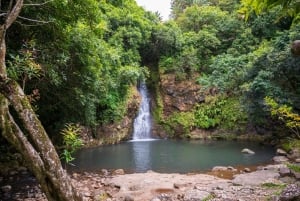 Mauritius South Highlights Tour: Vallée & Chamarel Dunes