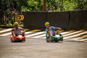 Mauritius South Highlights Tour: Vallée & Chamarel Dunes