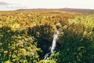 Mauricio: tour por lo más destacado del sur con 7 o 23 tierras de colores