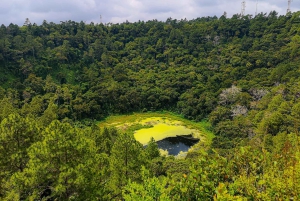 Mauritius: Sørøytur med romsmaking