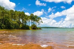 Maurícias: passeio pela natureza do sul com miradouros e almoço