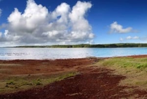 Maurícias: passeio pela natureza do sul com miradouros e almoço