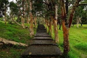 Maurícias: passeio pela natureza do sul com miradouros e almoço