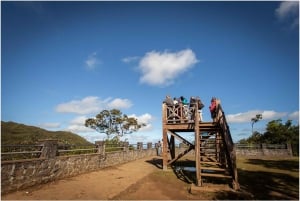 Maurícias: passeio pela natureza do sul com miradouros e almoço
