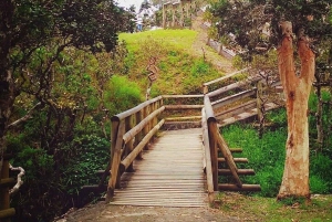 Maurícias: passeio pela natureza do sul com miradouros e almoço