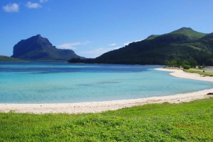 Maurícias: passeio pela natureza do sul com miradouros e almoço
