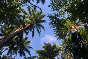 Mauritius: VIP-tur på firhjuling sør på Mauritius