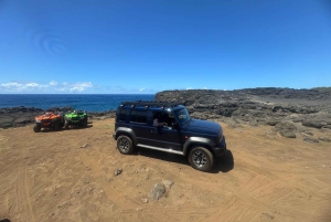 Mauritius: South of Mauritius VIP Quad Tour