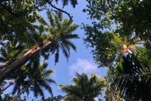 Mauritius: South of Mauritius VIP Quad Tour