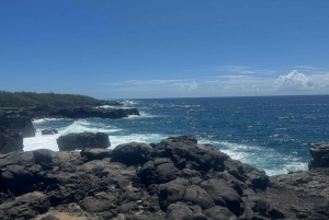 Mauritius: South of Mauritius VIP Quad Tour