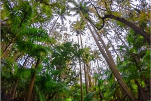 Mauritius: South of Mauritius VIP Quad Tour