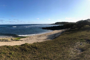 Mauritius: South of Mauritius VIP Quad Tour