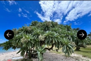 Mauritius: South of Mauritius VIP Quad Tour