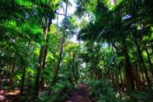 Mauritius: South of Mauritius VIP Quad Tour